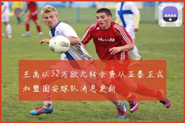 王禹以32万欧元转会费从亚泰正式加盟国安球队消息更新