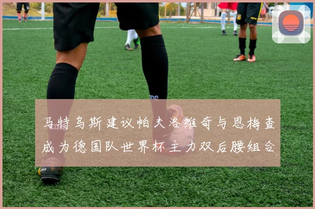 马特乌斯建议帕夫洛维奇与恩梅查成为德国队世界杯主力双后腰组合