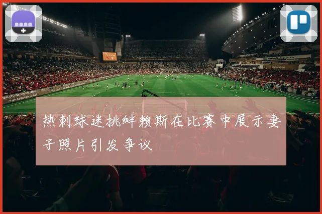 热刺球迷挑衅赖斯在比赛中展示妻子照片引发争议